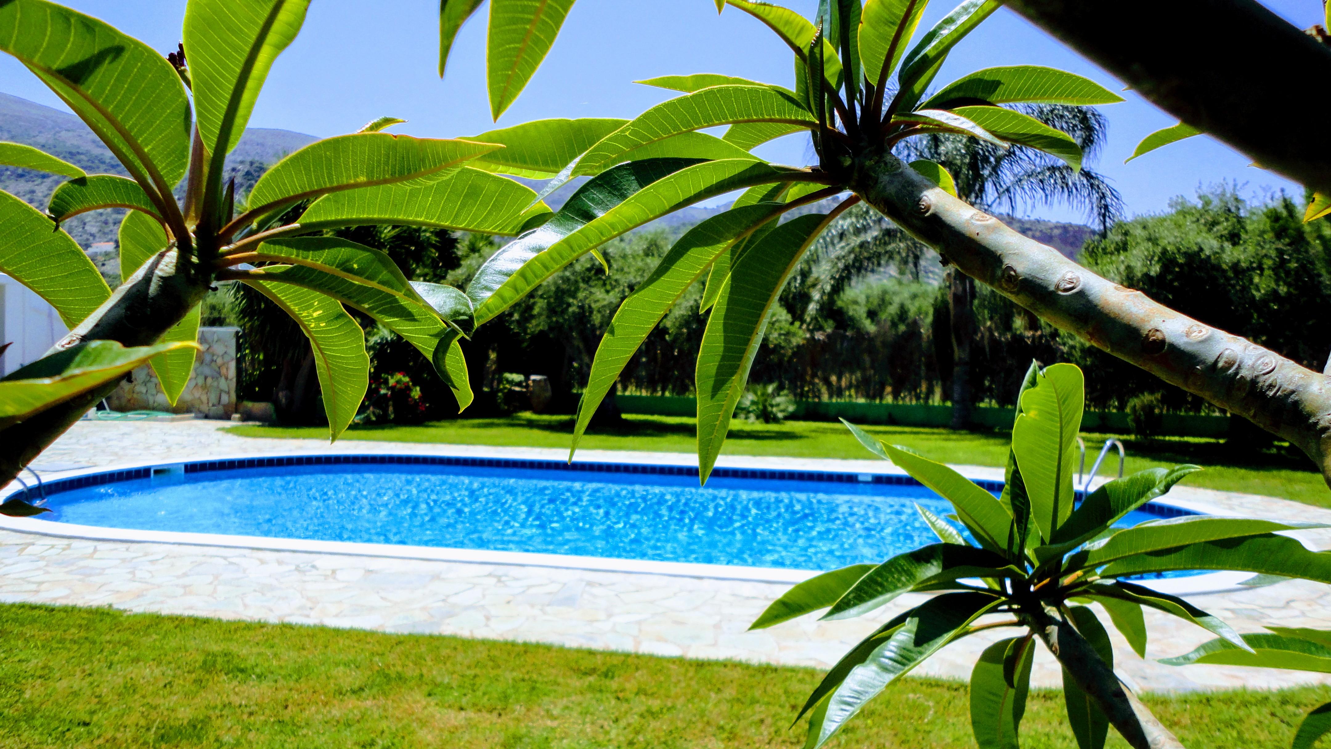 Ibiscus Hotel Malia Экстерьер фото